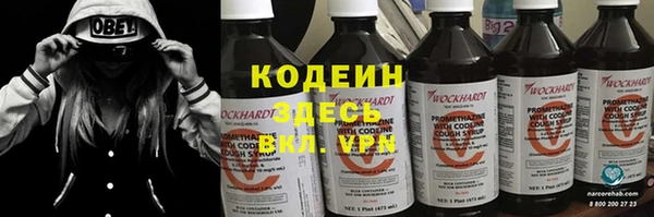 ПСИЛОЦИБИНОВЫЕ ГРИБЫ Осинники