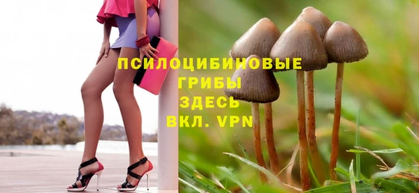 ПСИЛОЦИБИНОВЫЕ ГРИБЫ Осинники