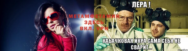 ПСИЛОЦИБИНОВЫЕ ГРИБЫ Осинники