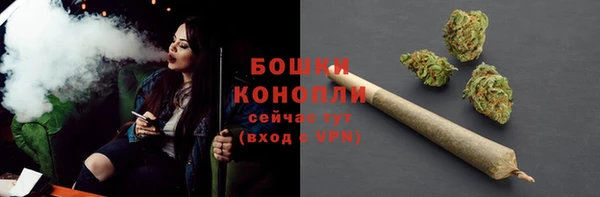ПСИЛОЦИБИНОВЫЕ ГРИБЫ Осинники