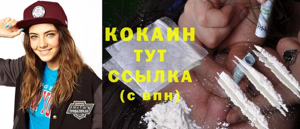 ПСИЛОЦИБИНОВЫЕ ГРИБЫ Осинники