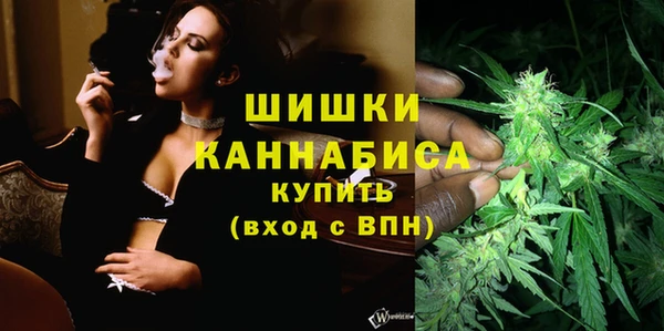 ПСИЛОЦИБИНОВЫЕ ГРИБЫ Осинники