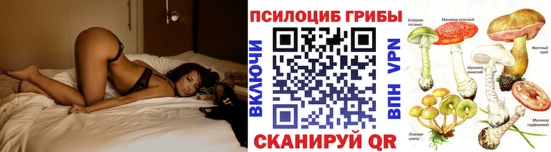 Купить где  Западная Двина  Галлюциногенные грибы MAGIC MUSHROOMS 
